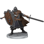 D&D: Frameworks - Human Fighter Male - 