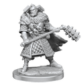 D&D: Frameworks - Human Fighter Male - 