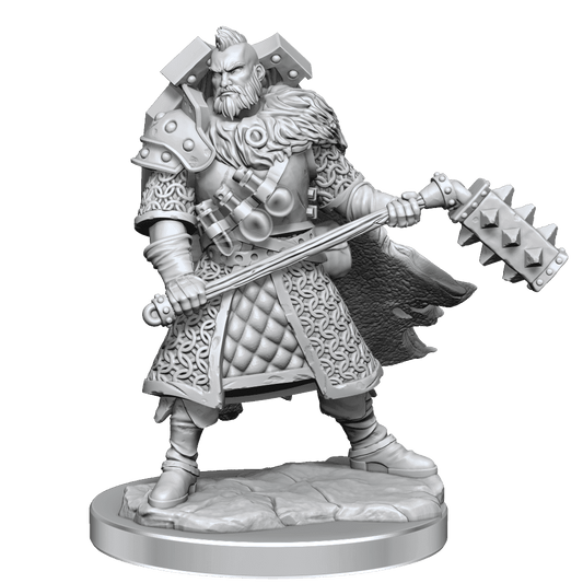 D&D: Frameworks - Human Fighter Male - 