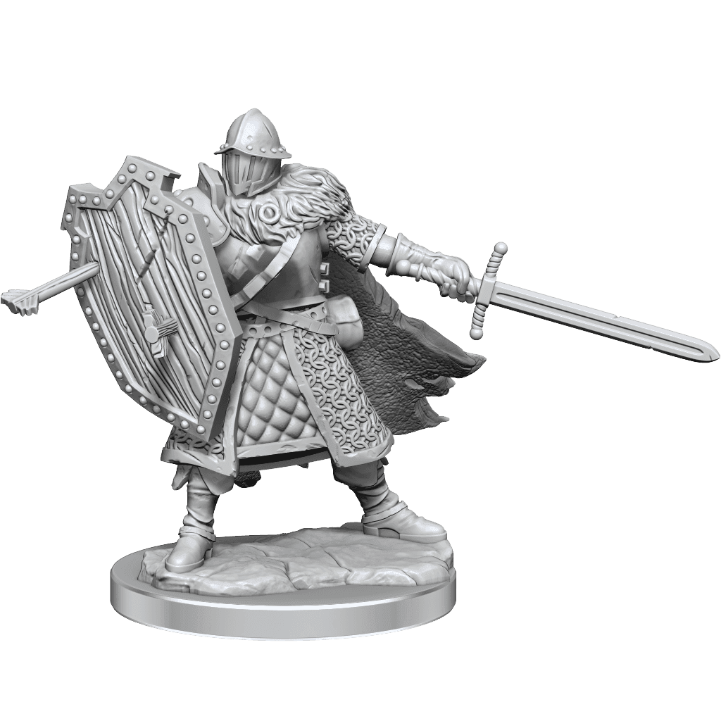 D&D: Frameworks - Human Fighter Male - 