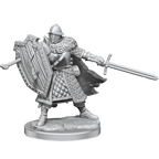 D&D: Frameworks - Human Fighter Male - 