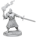 D&D: Frameworks - Human Fighter Male - 