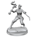 D&D: Frameworks - Human Rogue Female - 