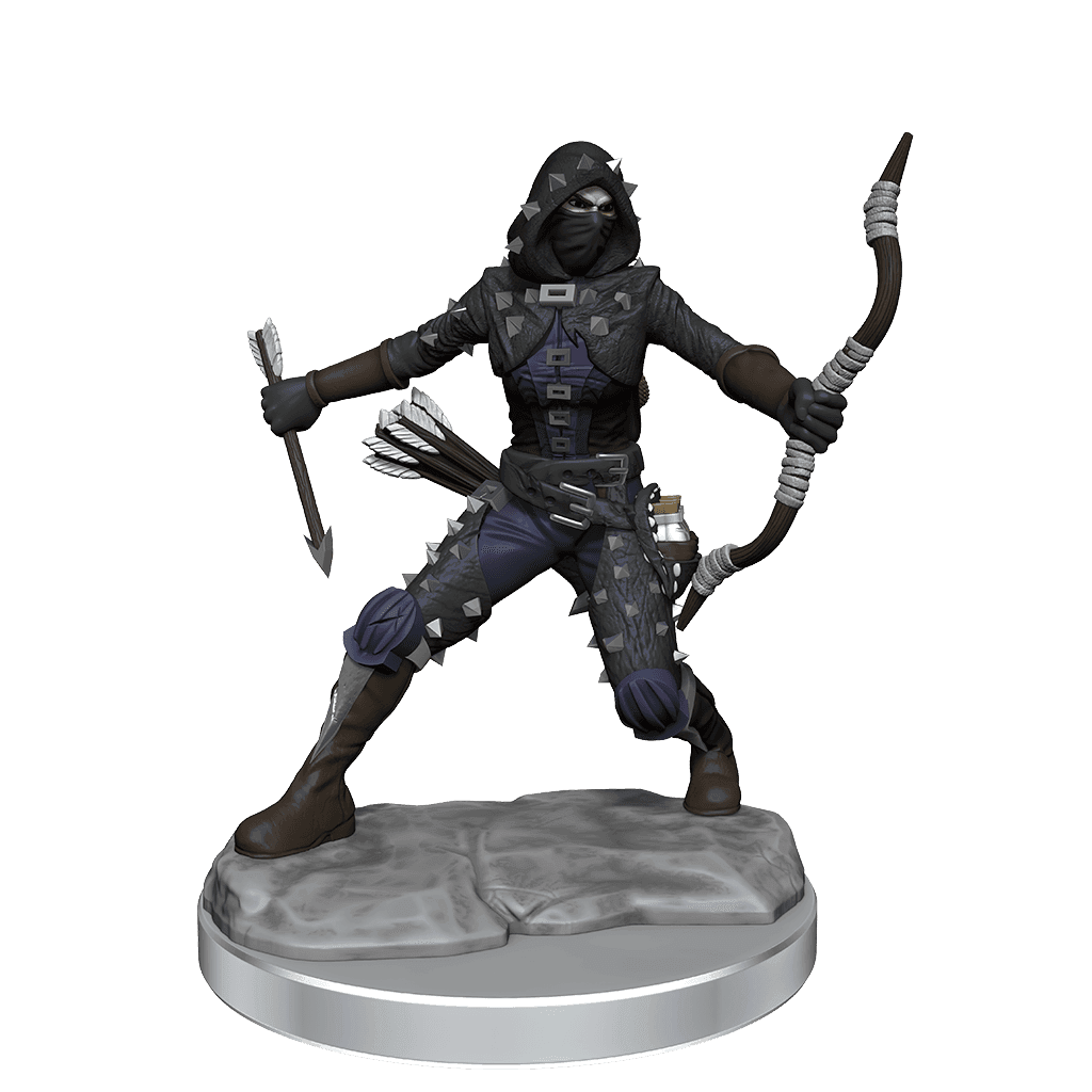 D&D: Frameworks - Human Rogue Female - 