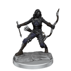 D&D: Frameworks - Human Rogue Female - 