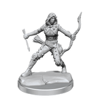 D&D: Frameworks - Human Rogue Female - 