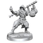 D&D: Frameworks - Human Monk Male - 