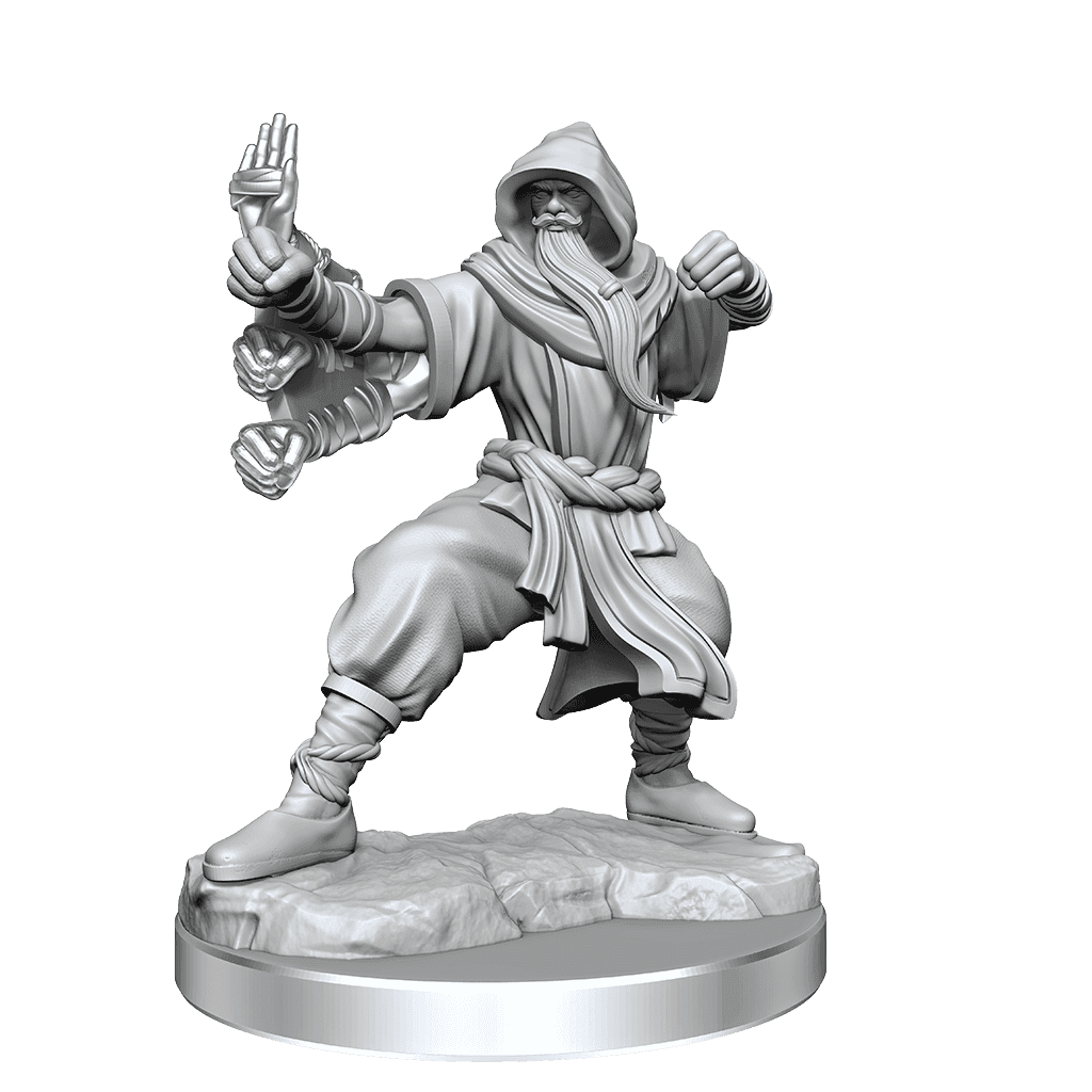 D&D: Frameworks - Human Monk Male - 