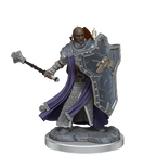 D&D: Frameworks - Human Cleric Male - 