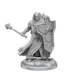 D&D: Frameworks - Human Cleric Male - 
