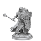 D&D: Frameworks - Human Cleric Male - 