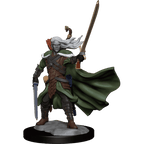 D&D: Frameworks - Elf Ranger Male - 