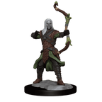 D&D: Frameworks - Elf Ranger Male - 