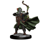 D&D: Frameworks - Elf Ranger Male - 