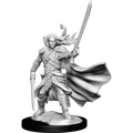 D&D: Frameworks - Elf Ranger Male - 