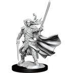 D&D: Frameworks - Elf Ranger Male - 