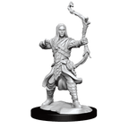 D&D: Frameworks - Elf Ranger Male - 