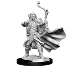 D&D: Frameworks - Elf Ranger Male - 