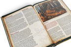 Ultimate Bestiary: Secrets of the Fey Hardcover (5E)