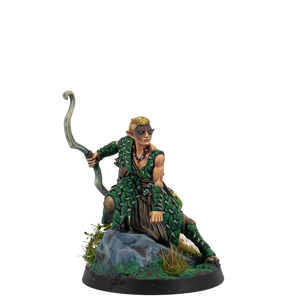 Protectors of the Forest