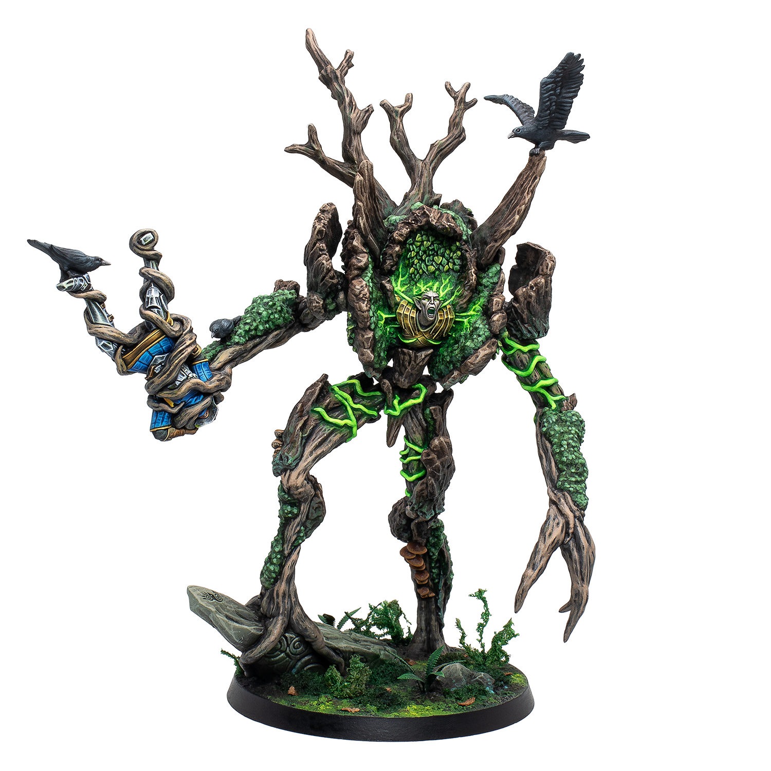 Moss Hermit