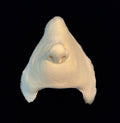 What-5 Nose Foam Latex Prosthetic