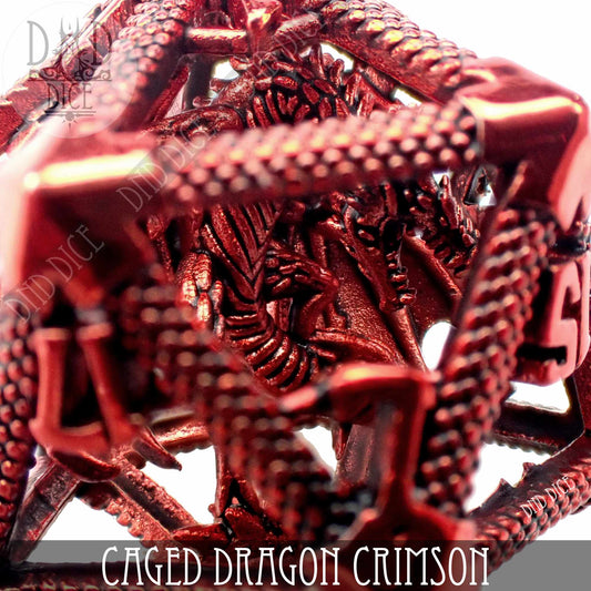 Dragon en cage D20 (6 couleurs)