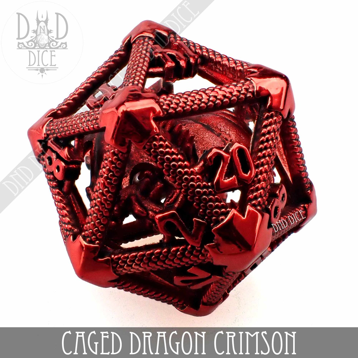 Caged Dragon D20 (6 Colors)