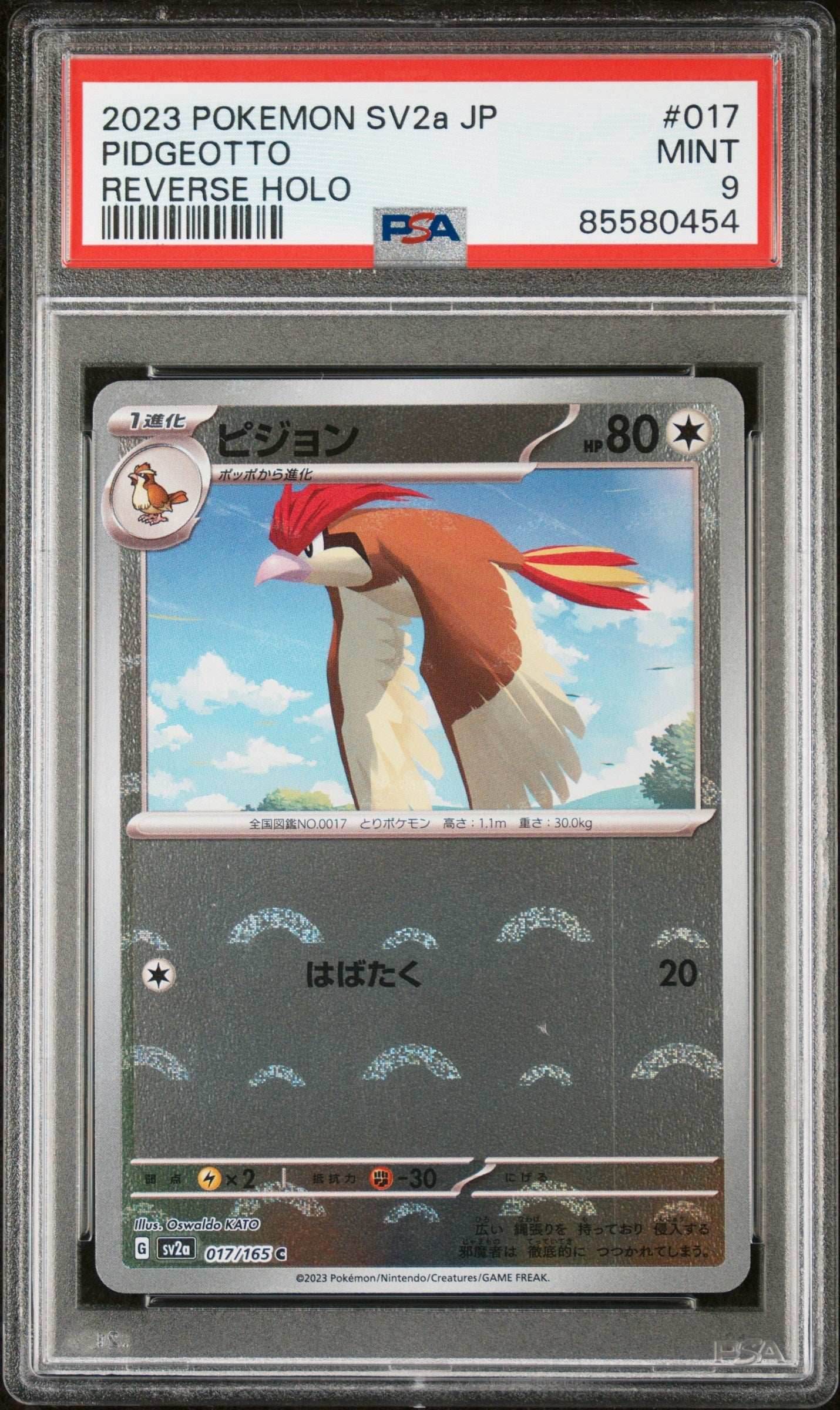 2023 POKEMON JAPANESE SV2a-POKEMON 151 PIDGEOTTO #17 - PSA MINT 9 - 