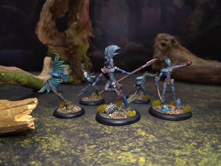 ArcWorlde: Wild Elven Starter Warband - 