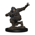 Pathfinder Battles: Human Rogue Male - 
