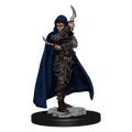 Pathfinder Battles: Human Rogue Female - 