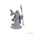 D&D: Nolzur's Marvelous Miniatures - Star Spawn Larva Mage - 