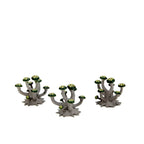 WarLock Tiles: Accessory - Mushrooms & Pools - 