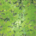 WarLock Tiles: Game Mat - Acid Lagoon - 