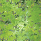WarLock Tiles: Game Mat - Acid Lagoon - 