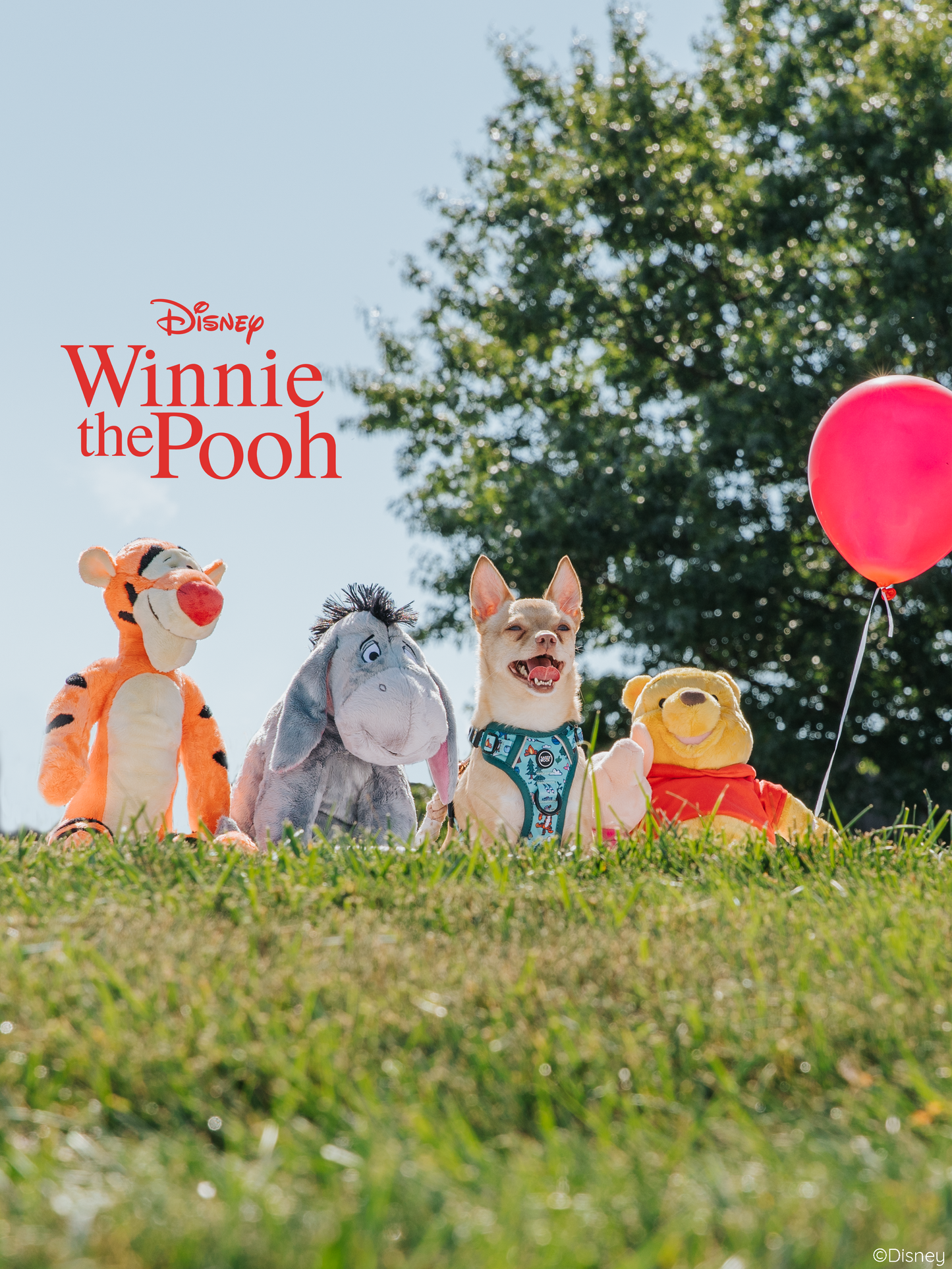 Dog Step-in Harness - Disney's Winnie the Pooh