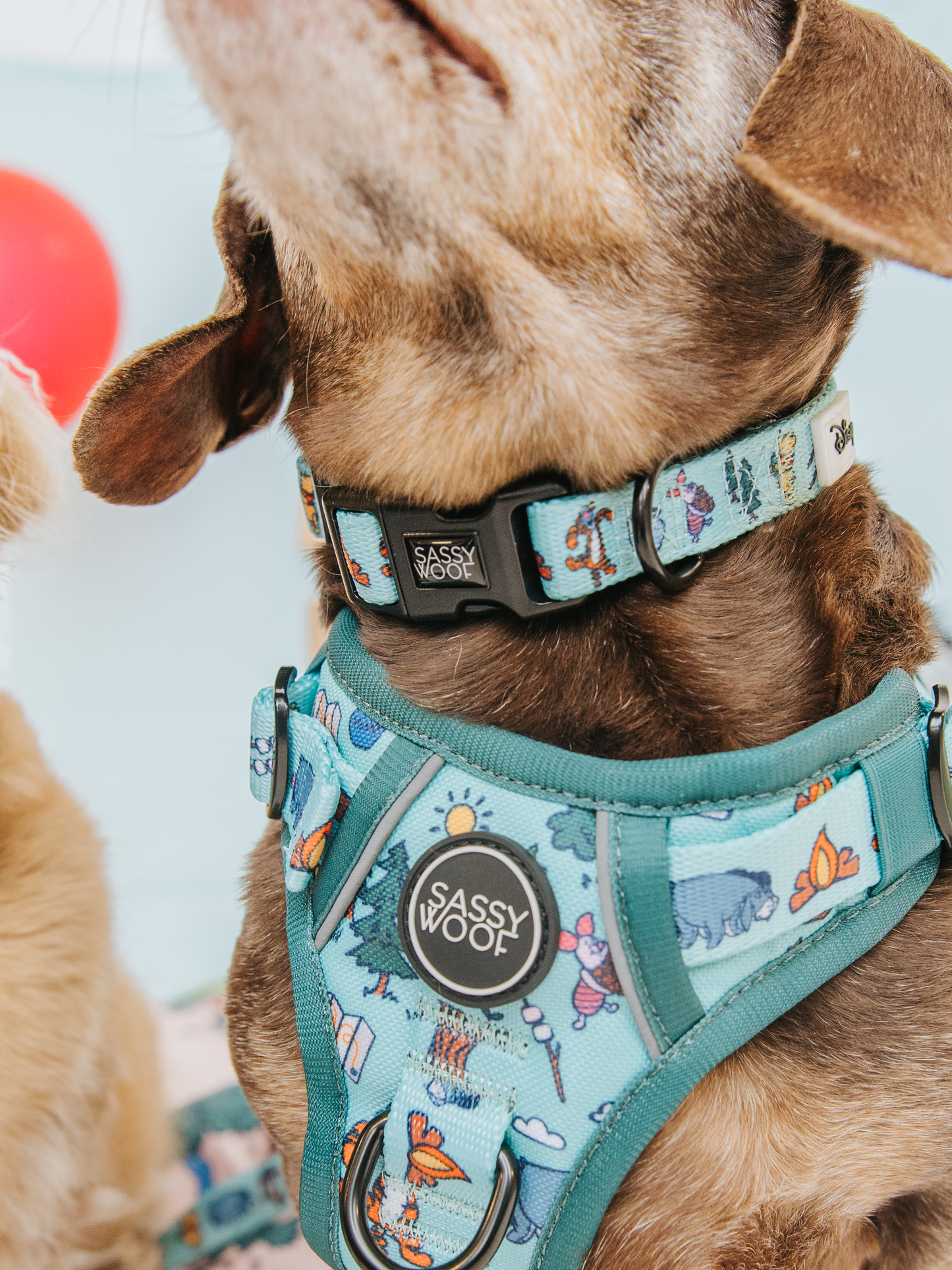 Dog Step-in Harness - Disney's Winnie the Pooh