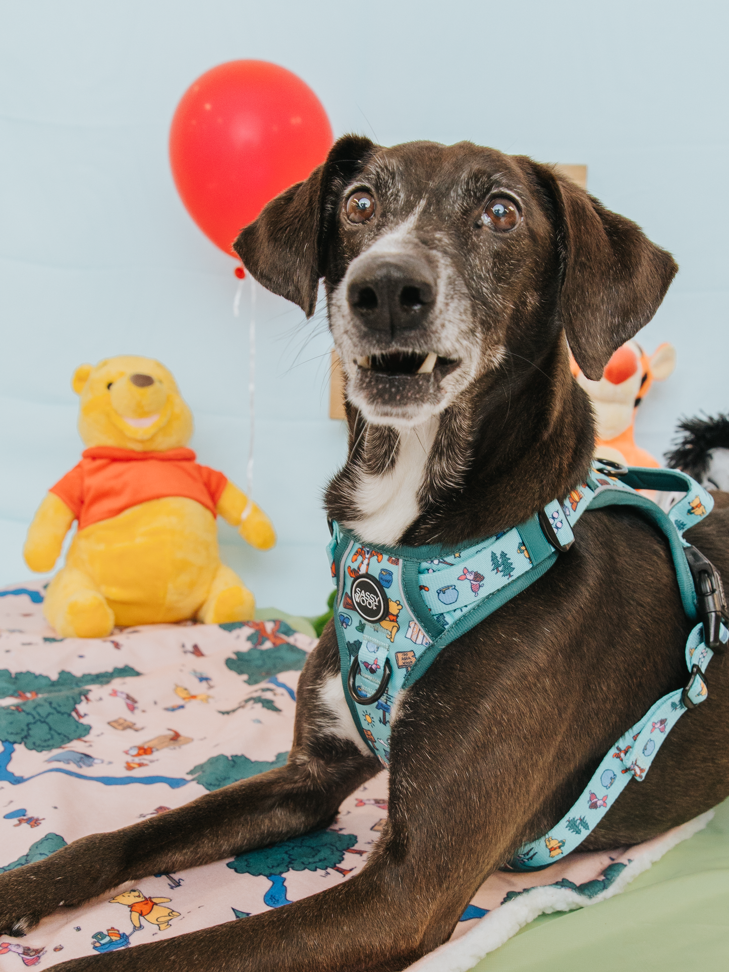 Dog Step-in Harness - Disney's Winnie the Pooh