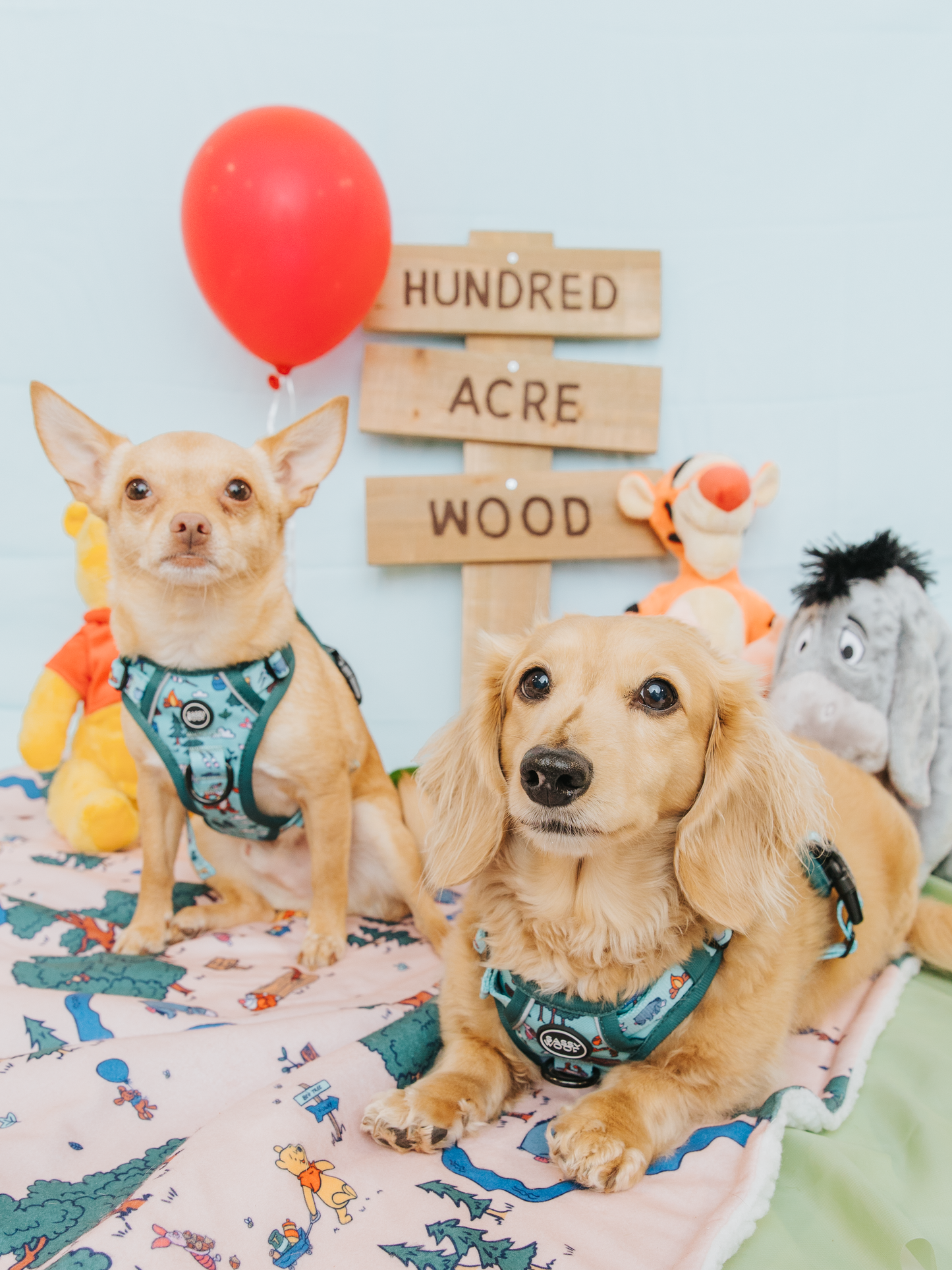 Dog Step-in Harness - Disney's Winnie the Pooh
