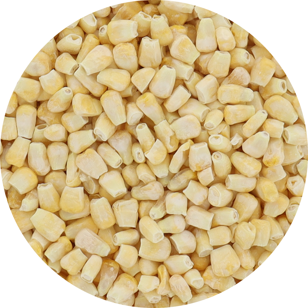 Freeze Dried Corn - Plain