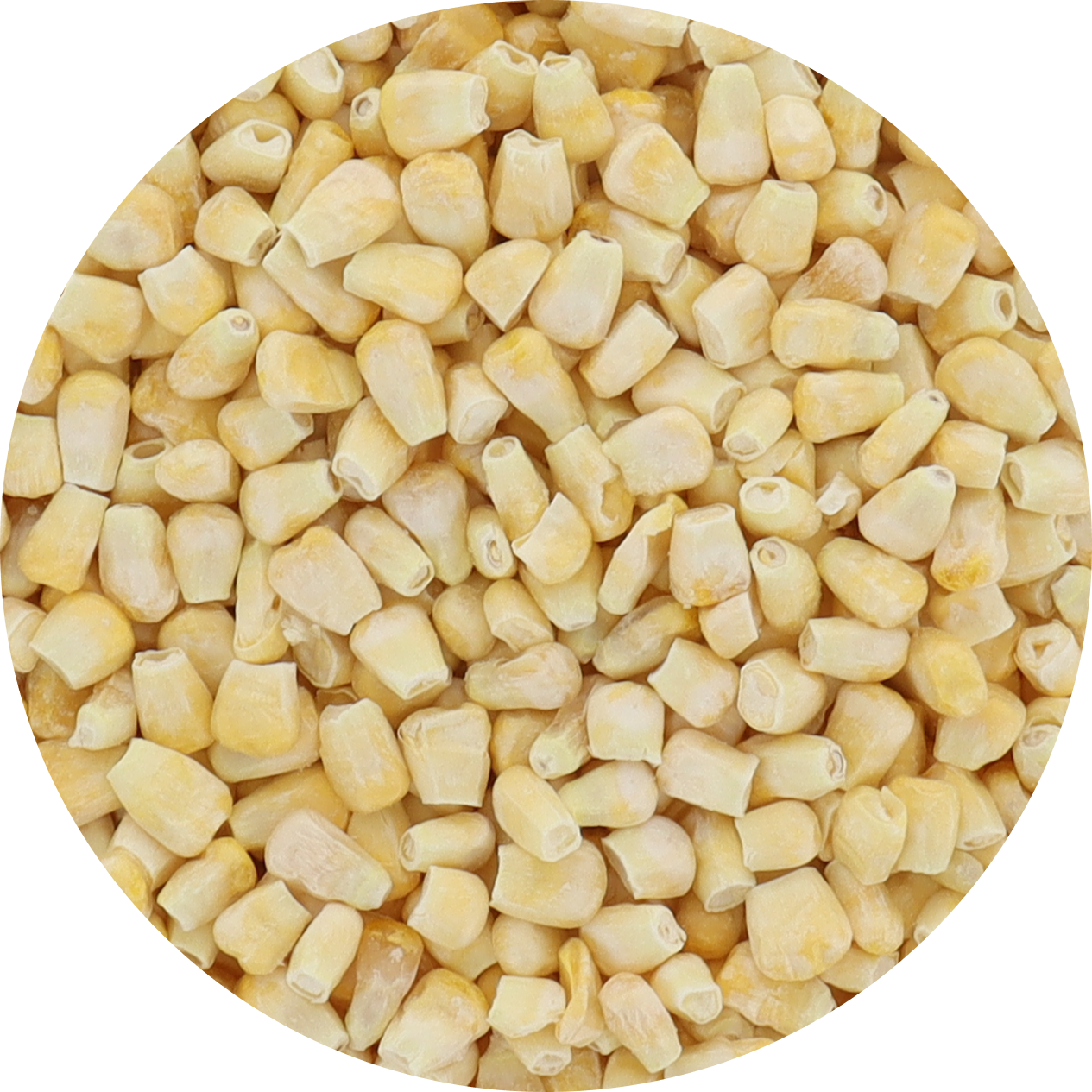 Freeze Dried Corn - Fire Roasted