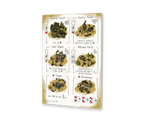Imperial Settlers: Roll & Write - 
