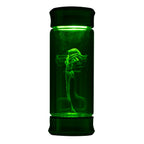 Alien Embryo Glass Jar Display 8” Collectible Movie Prop Replica