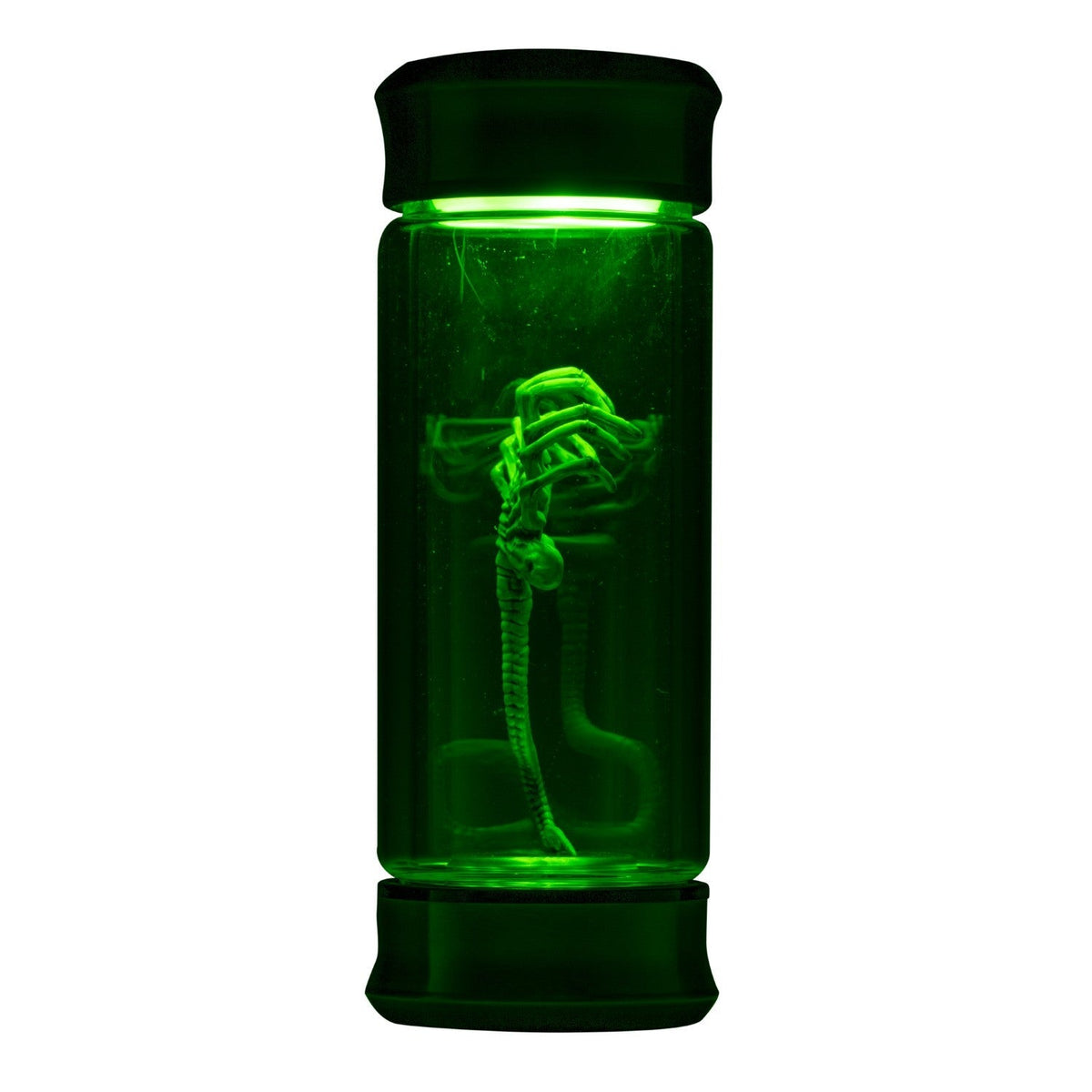 Alien Embryo Glass Jar Display 8” Collectible Movie Prop Replica