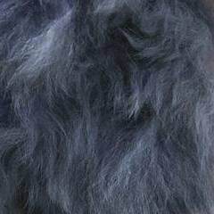 Alpaca Fuzzball Keychain - White