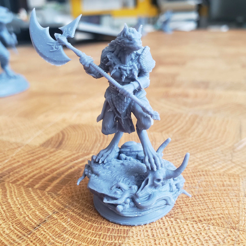 Ariana Grey, the Wolf Queen (Female Werewolf Barbarian) - 