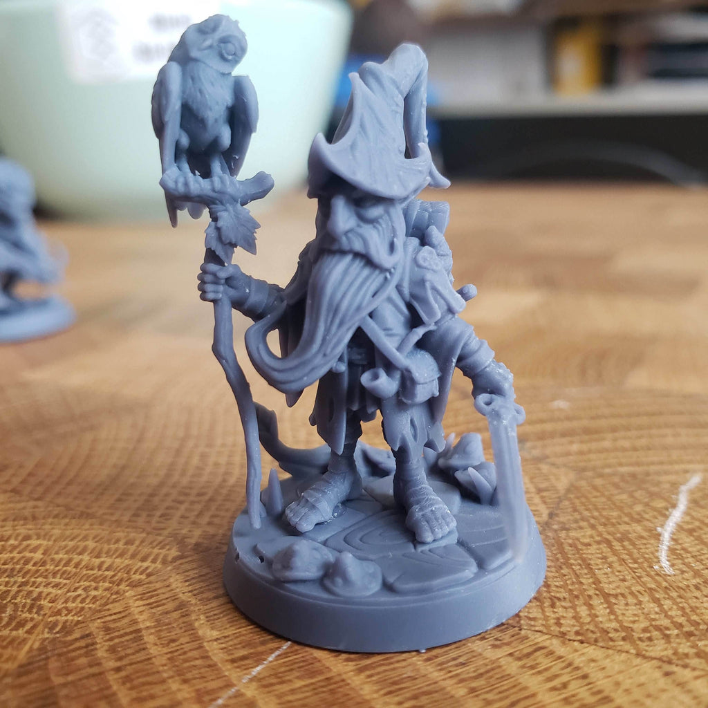 Baggo Elderleaf (Male Gnome Wizard) - 