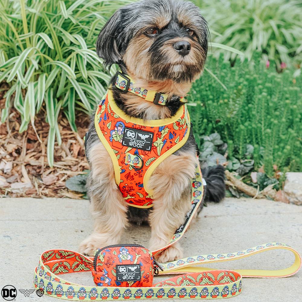 Dog Collar - Wonder Woman™