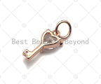 Big Clear CZ Micro Pave Heart Key Shape Pendant,Cubic Zirconia Heart Key Charm,Gold/Silver/Rose Gold Tone,6x12mm,Sku#Y345